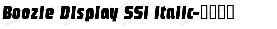 Boozle Display SSi Italic字体转换